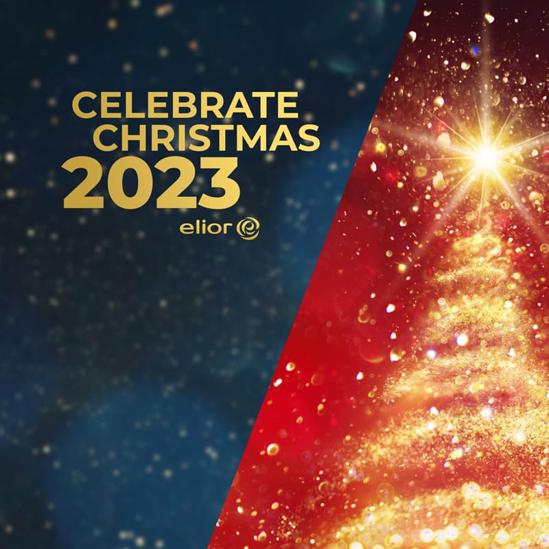 Rotherham Stadium Christmas 2023