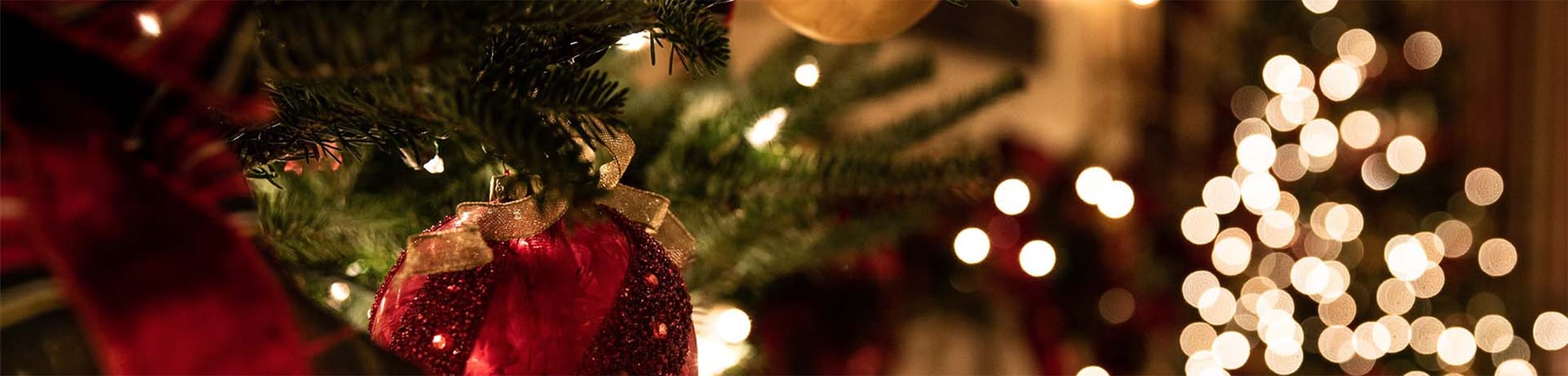 xmas bg